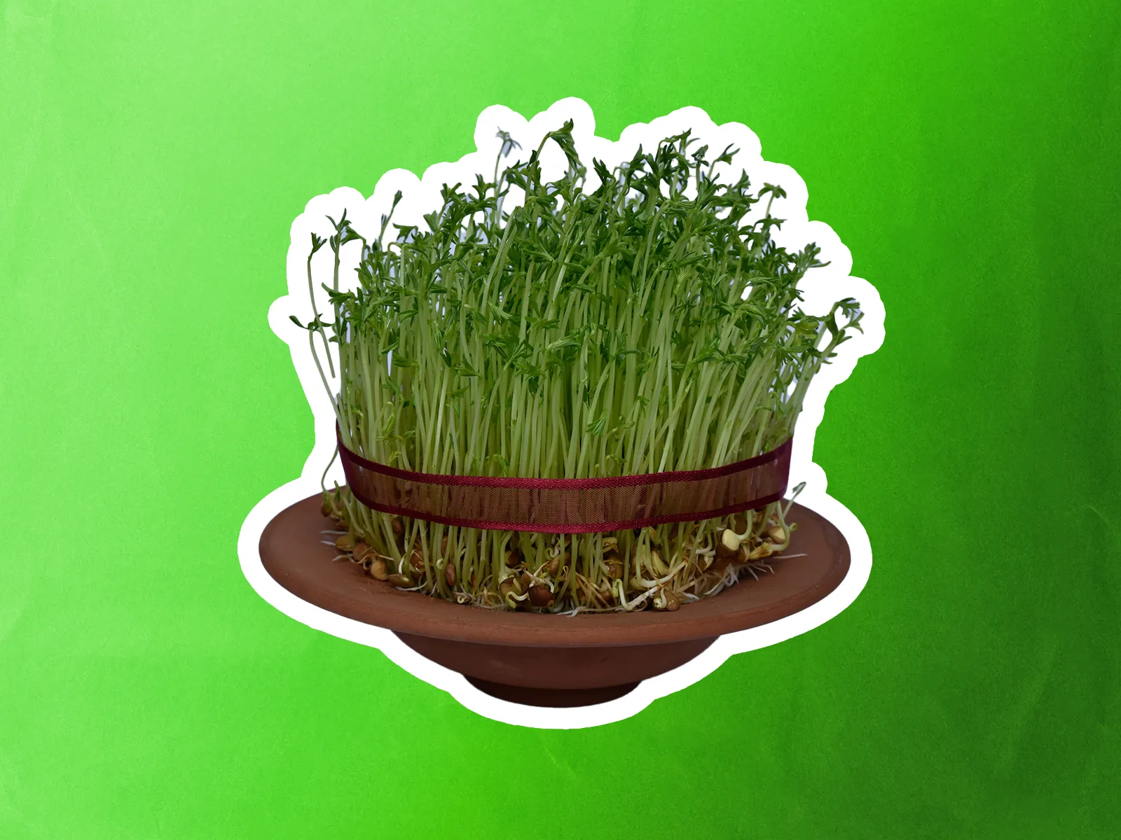 Ноуруз